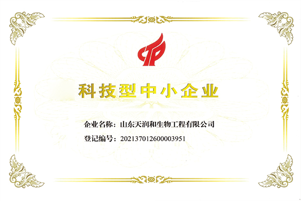 科技型中小企业