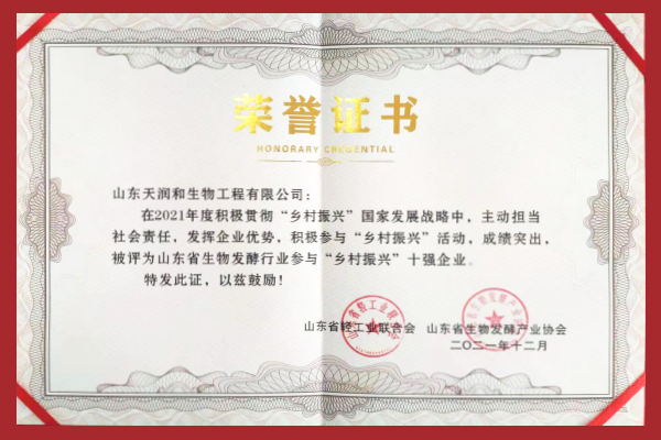 乡村振兴十强企业