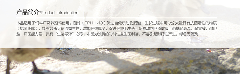 未标题-1_03.jpg