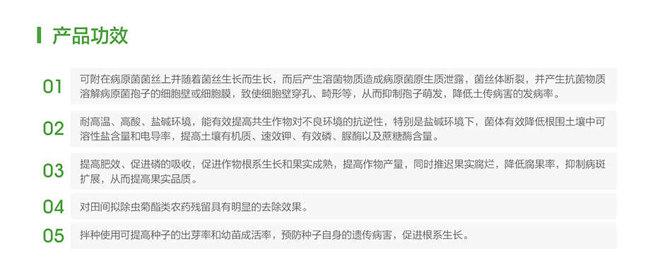 未标题-1_03.jpg
