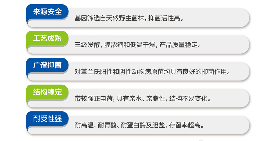 未标题-1_02.jpg