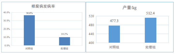 山东济南商河县某种植户